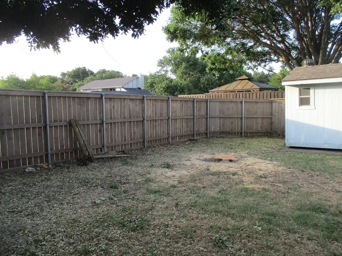 Cleared yard after professional tree removal in Fairfield Bay