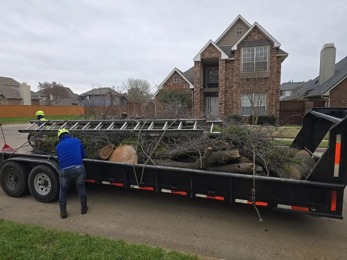 Expert Tree Pest Control with proper safety equipment in Fairfield Bay